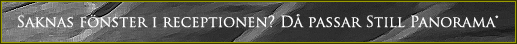 Sakanas fönster i receptioen? Då passar Still Panorama.