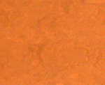 Linoleum